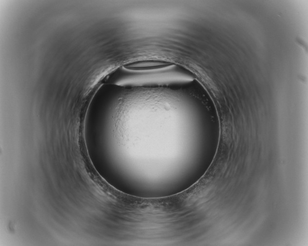 X0000095910434200801181359