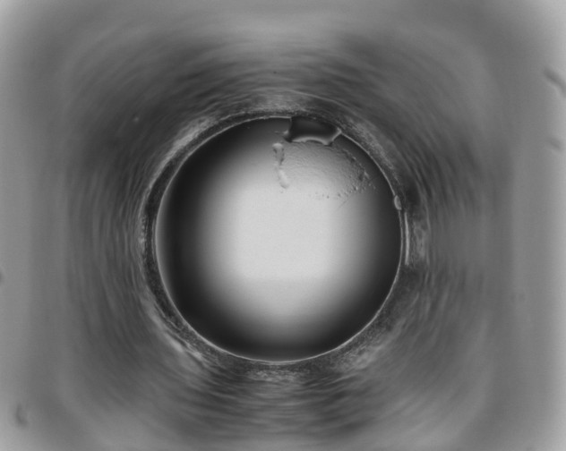 X0000095910435200801181359