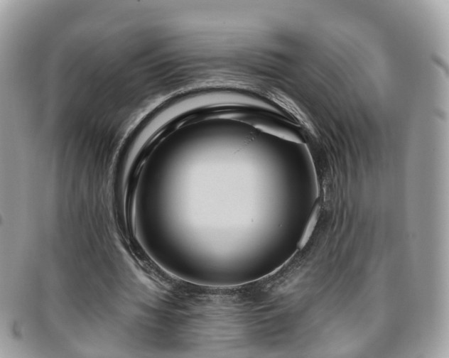 X0000095910436200801181359