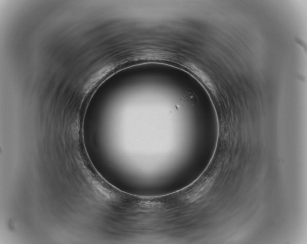 X0000095910437200801181359