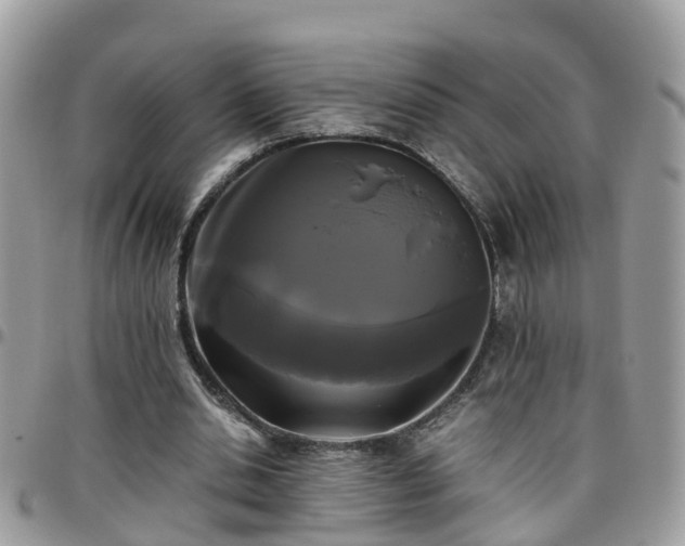 X0000095910438200801181359