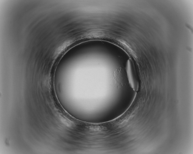 X0000095910439200801181359