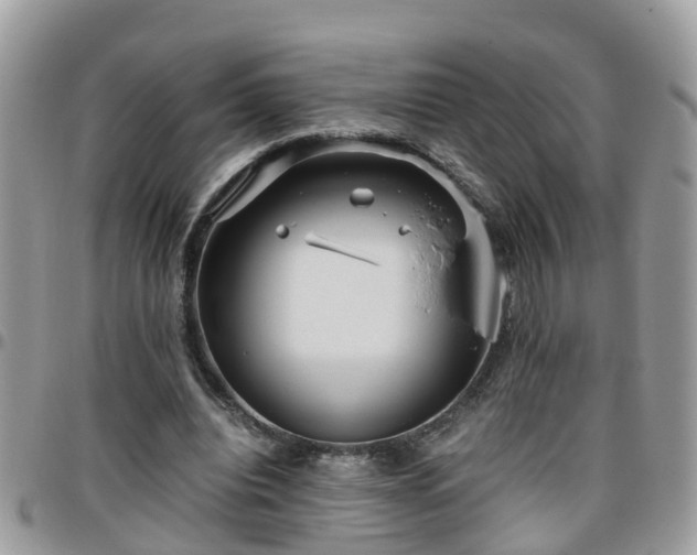 X0000095910440200801181359