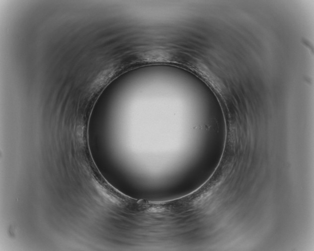 X0000095910441200801181359