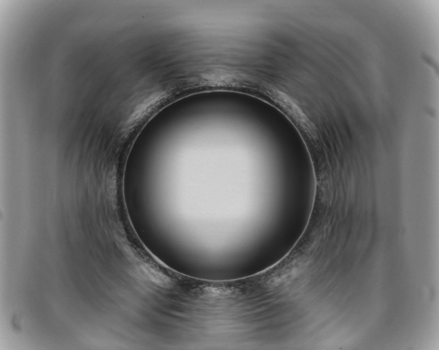 X0000095910442200801181359