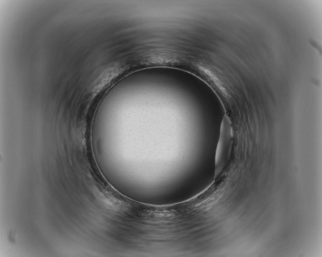 X0000095910443200801181359