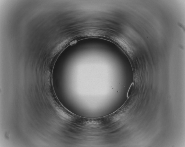 X0000095910445200801181359