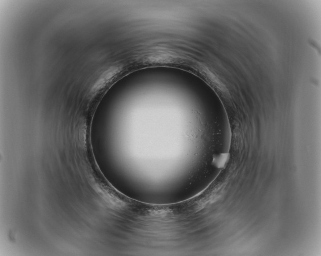 X0000095910446200801181359