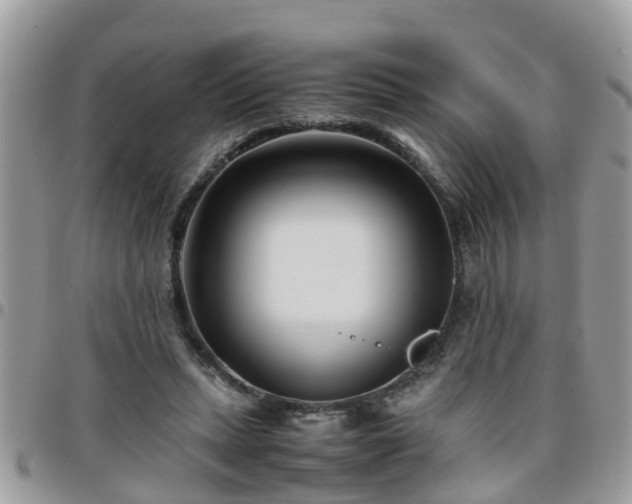 X0000095910447200801181359