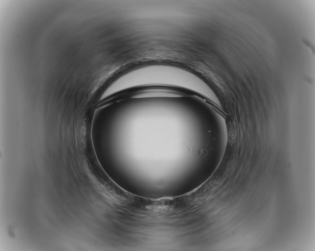 X0000095910448200801181359