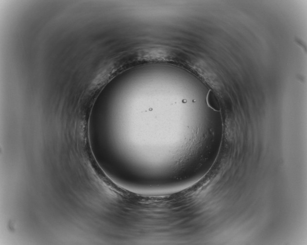 X0000095910449200801181359