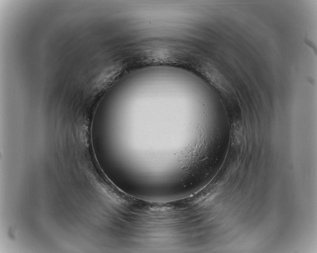 X0000095910450200801181359