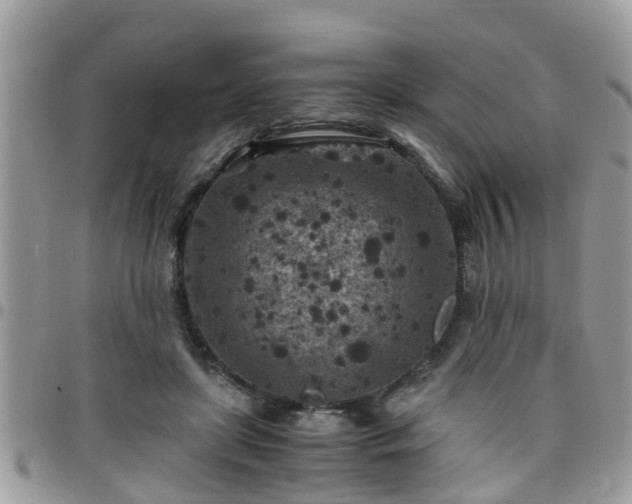 X0000095910451200801181359