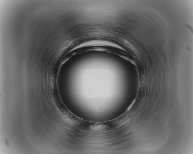 X0000095910452200801181359