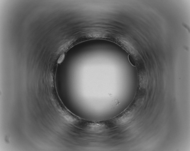 X0000095910453200801181359