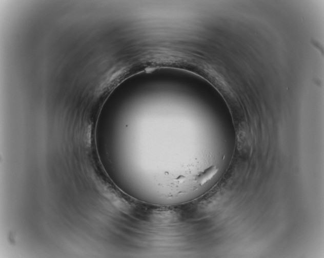 X0000095910454200801181359