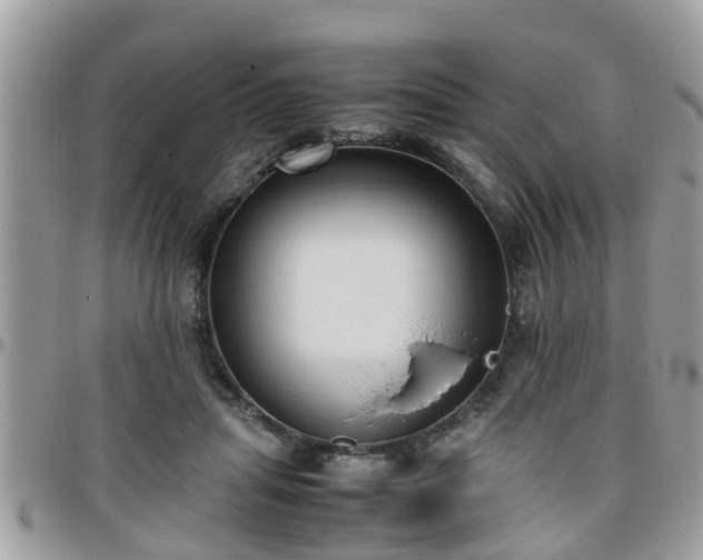 X0000095910455200801181359