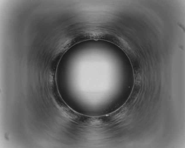 X0000095910456200801181359