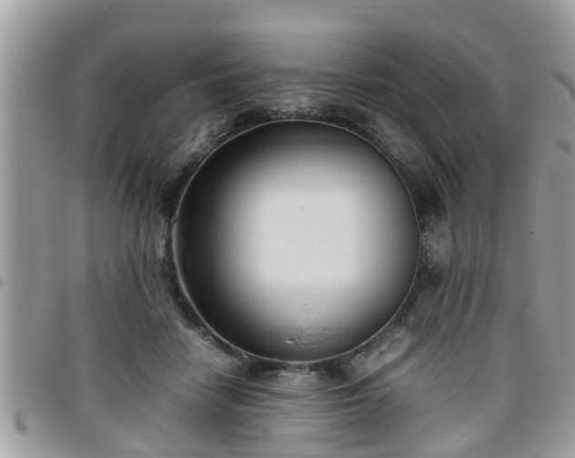 X0000095910458200801181359