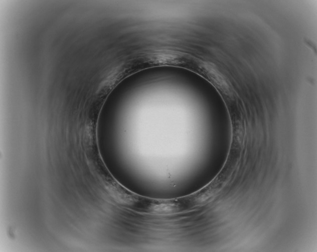 X0000095910461200801181359