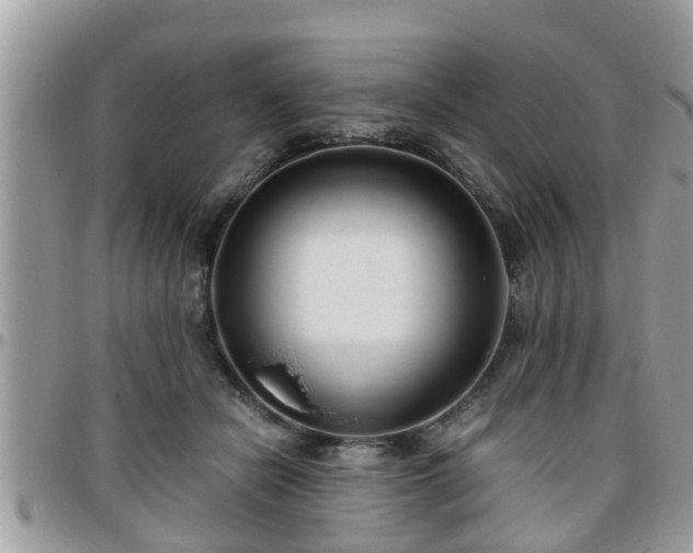 X0000095910462200801181359