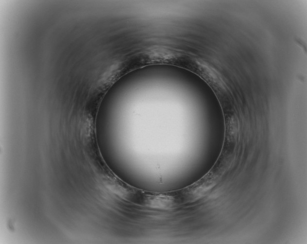 X0000095910463200801181359