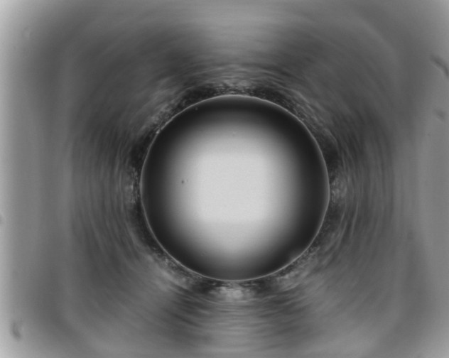 X0000095910464200801181359