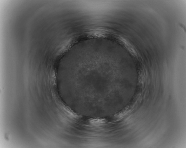 X0000095910465200801181359