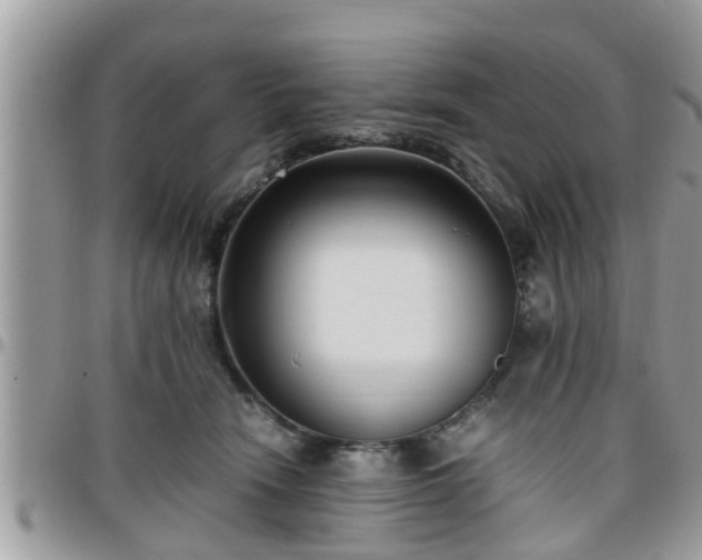 X0000095910466200801181359