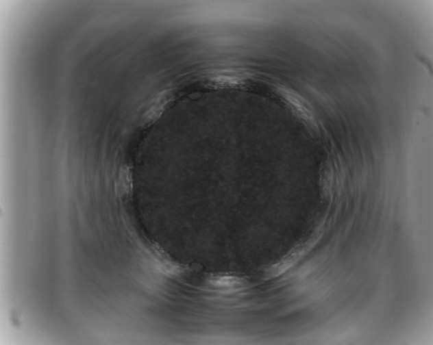 X0000095910467200801181359