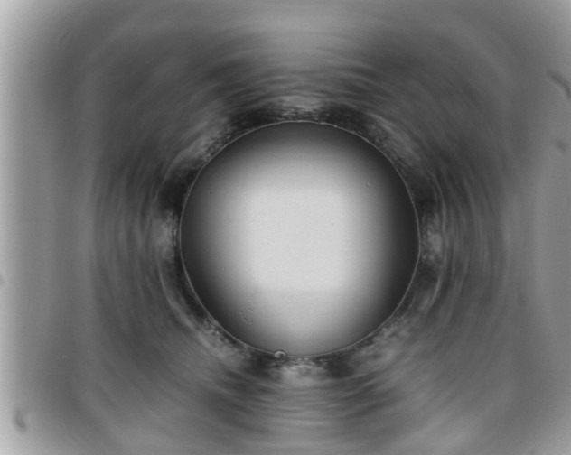 X0000095910468200801181359