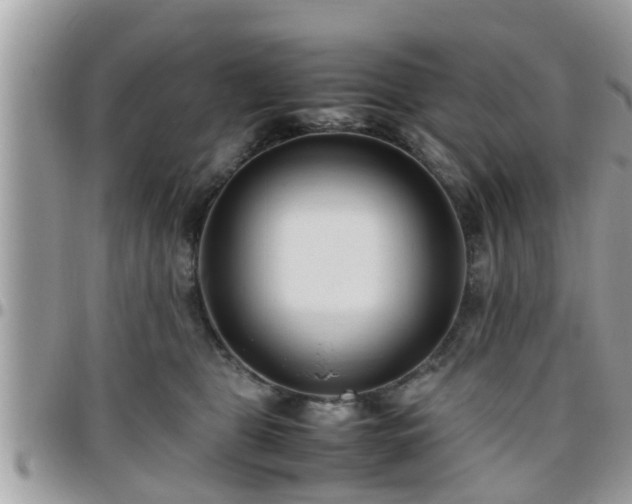 X0000095910469200801181359