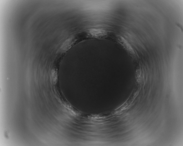 X0000095910471200801181359