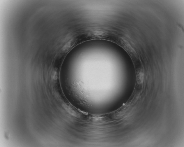 X0000095910472200801181359