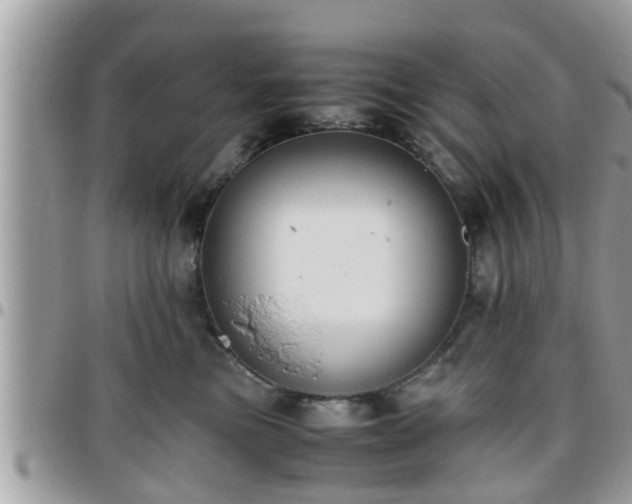 X0000095910473200801181359