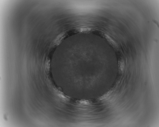 X0000095910475200801181359