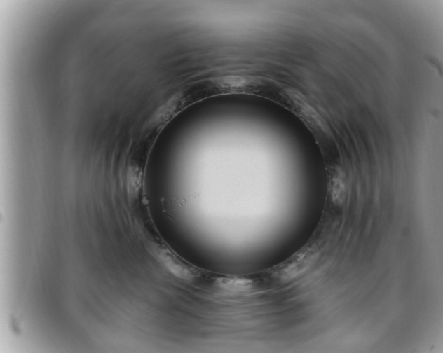 X0000095910476200801181359