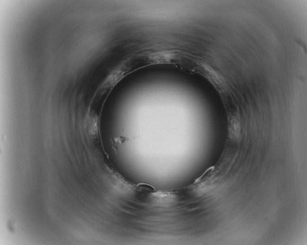 X0000095910477200801181359