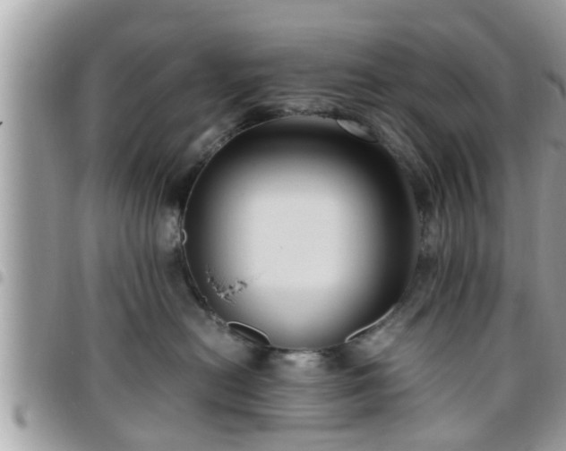 X0000095910478200801181359