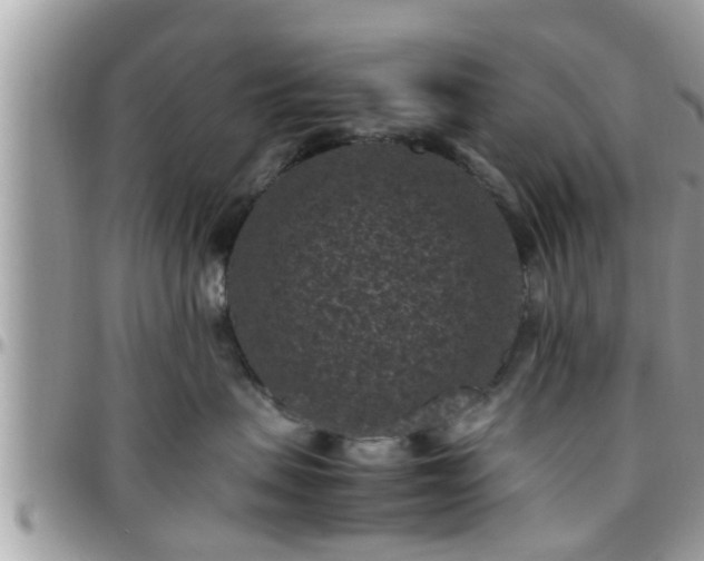 X0000095910479200801181359