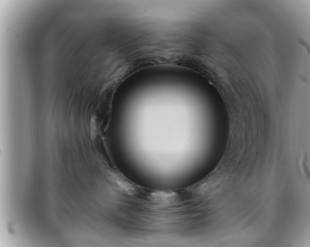 X0000095910480200801181359