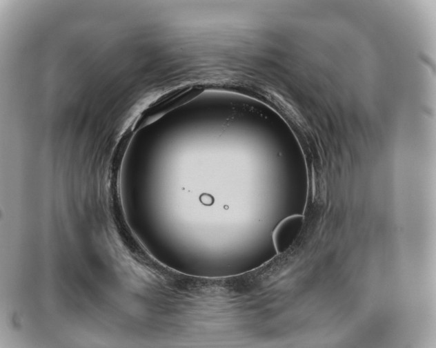 X0000095910483200801181359