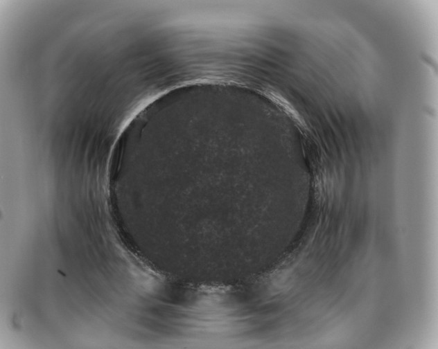 X0000095910484200801181359