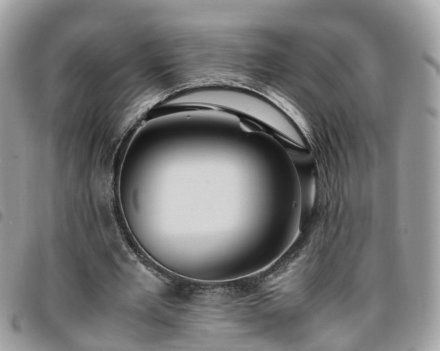 X0000095910485200801181359