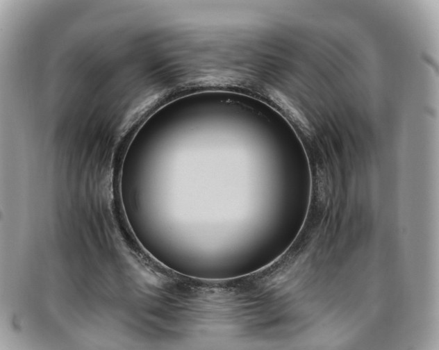 X0000095910486200801181359