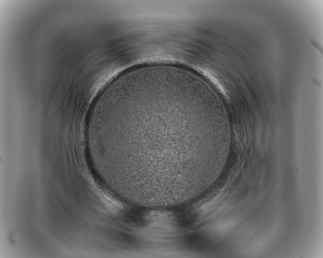 X0000095910487200801181359