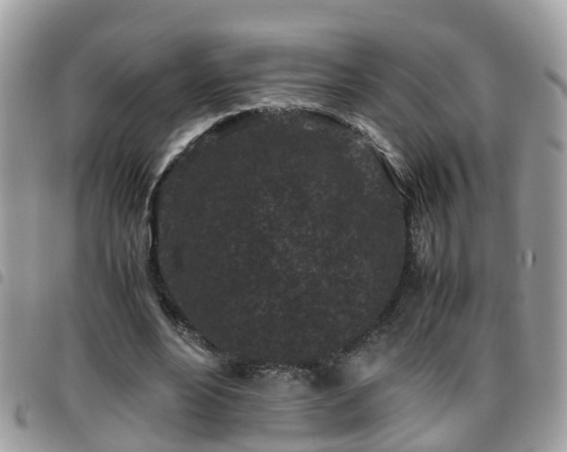 X0000095910488200801181359