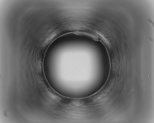 X0000095910489200801181359