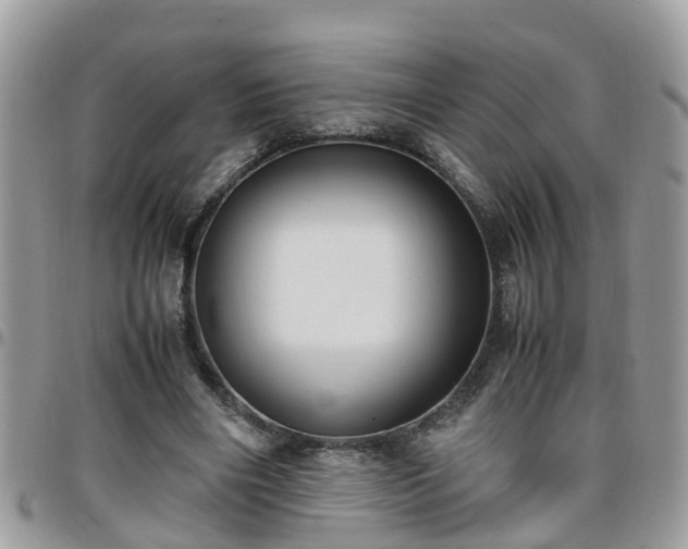 X0000095910490200801181359