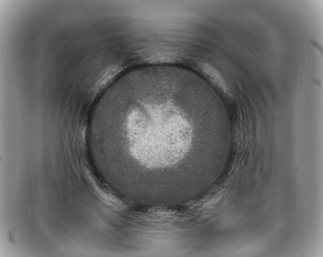 X0000095910491200801181359